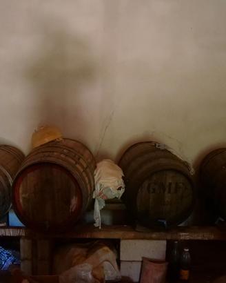 Attrezzatura per vino e Olio, lavatrice cucina a g