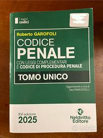 Codice penale e amministrativo Nel Diritto 2025