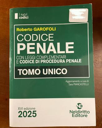 Codice penale e amministrativo Nel Diritto 2025