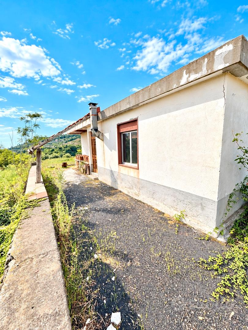 Ampio terreno pianeggiante con fabbricato - Vista 5