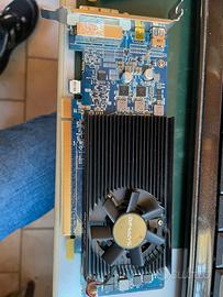 Schede video 1gb