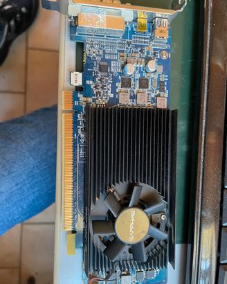 Schede video 1gb
