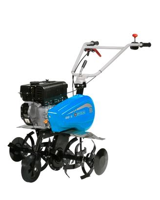 motozappa Bertolini 195s