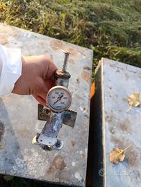 Sublimatore acido ossalico