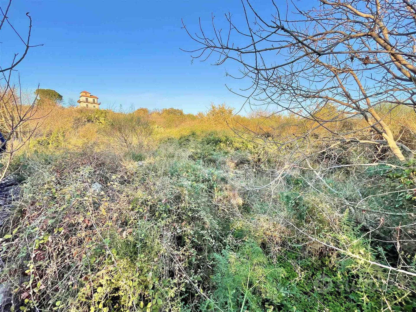 Rif.GL234| terreno agricolo belpasso - Vista 6