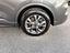 Immagine 13