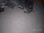 Immagine 19