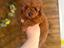 Immagine 13