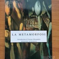 Le metamorfosi Kafka