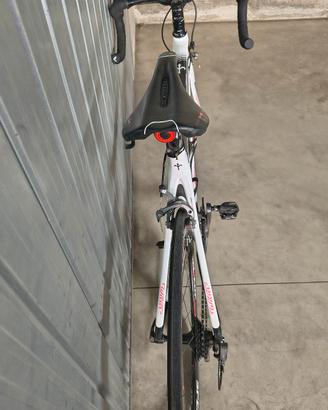 Bdc Wilier Triestina Gtr