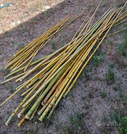 Canne di Bambù (simil Madake)