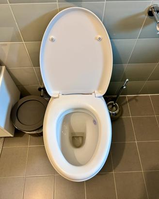 Water Dolomite bianco