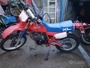  moto x appassionati e intenditori 