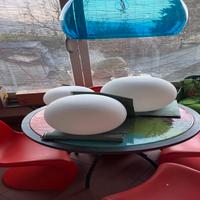 Diffusori lucciola vistosi