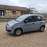 Fiat Panda  1200 a benzina anno 2020 con 39.000 Km