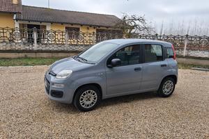 Fiat Panda  1200 a benzina anno 2020 con 39.000 Km