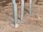Immagine 2