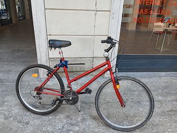 Bicicletta Mountain Bike 26