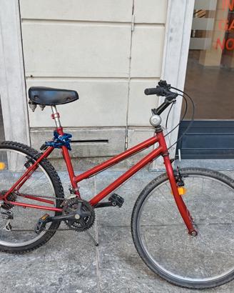 Bicicletta Mountain Bike 26
