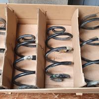 Molle ant post Ranault Clio 1.5 dci 85 cv