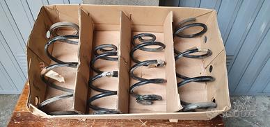 Molle ant post Ranault Clio 1.5 dci 85 cv