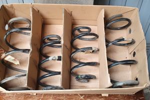 Molle ant post Ranault Clio 1.5 dci 85 cv