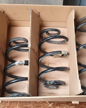 Molle ant post Ranault Clio 1.5 dci 85 cv