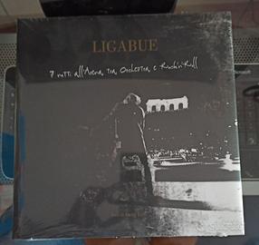Libro Ligabue 