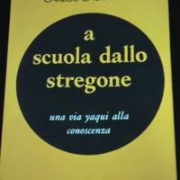 A scuola dallo stregone - Carlos Castaneda 1° ediz