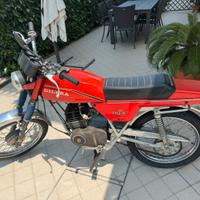 Gilera 50 ts 1984