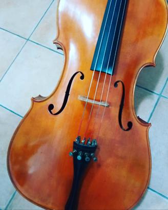 Violoncello anonimo con custodia rigida