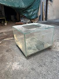 Vetrina per tartarughe