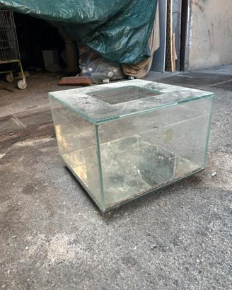 Vetrina per tartarughe