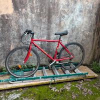 Bicicletta Bottecchia