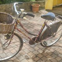Bici da donna stella veneta