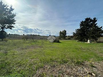 TER. AGRICOLO A SELARGIUS