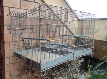 Gabbia uccelli zincata