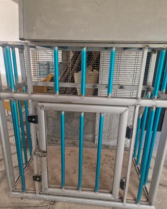 Gabbia in Alluminio Auto