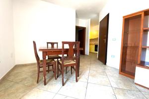 Trilo viale aldo moro dal 03/11 al 10/06/26