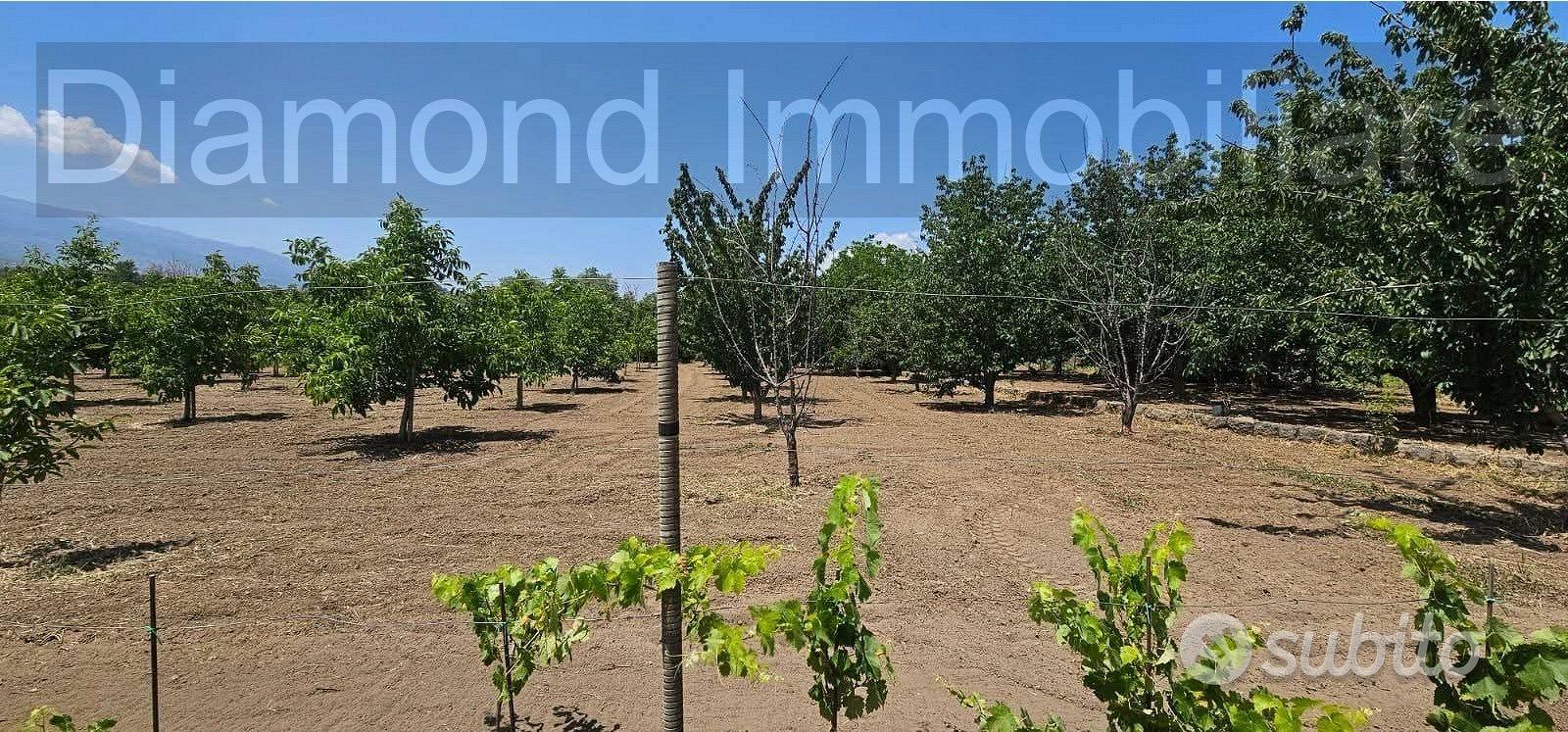 Terreno con rustico a Castiglione di Sicilia - Altro