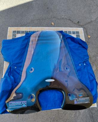 parabrezza scooter piaggio biondi