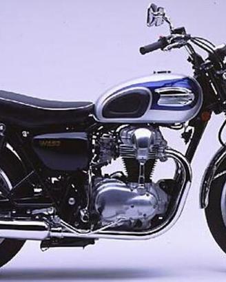 ricambi Kawasaki W 650- W 800