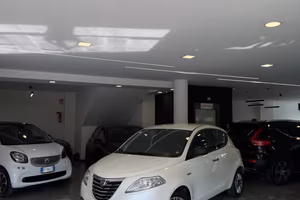 Lancia Ypsilon 1.3 MJT 16V 95 CV 5 porte S&S Silve