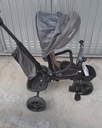 Triciclo evolutivo