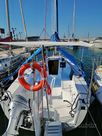 Focus 810 (27s) del 2024