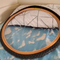 Copertone Mtb 24 + Camera d'aria 24