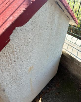 Cuccia per cane in cemento