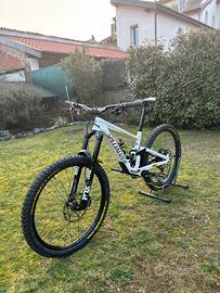 Specialized enduro expert