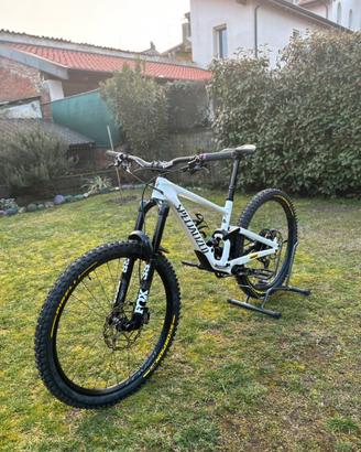 Specialized enduro expert