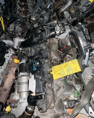 MOTORE T1DB 1.6 TD FORD C-MAX